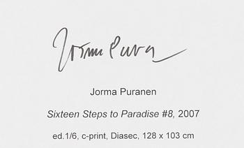 Jorma Puranen, "Sixteen Steps to Paradise #8".