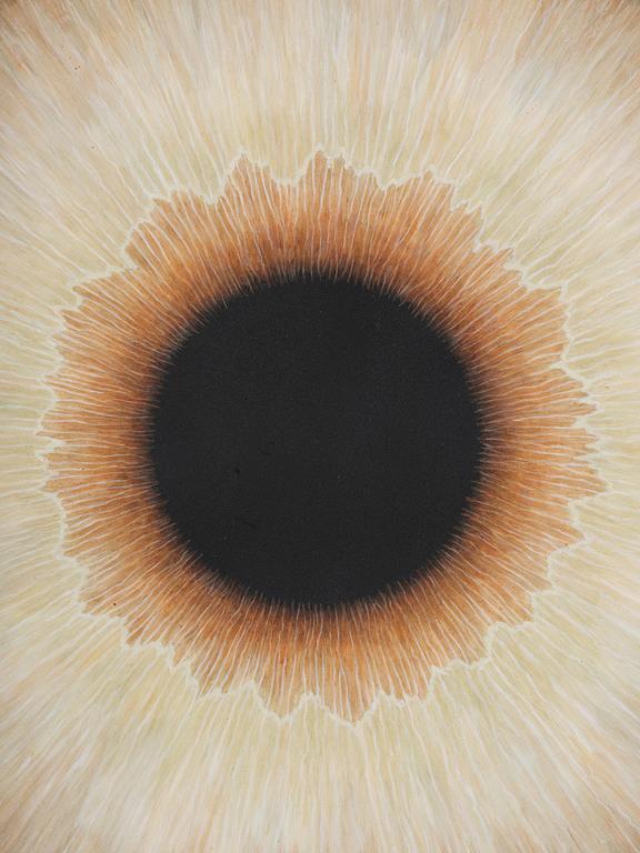 Ulla Wiggen, "Iris III".