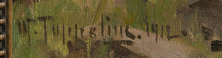 Woldemar Toppelius, Archipelago Landscape.