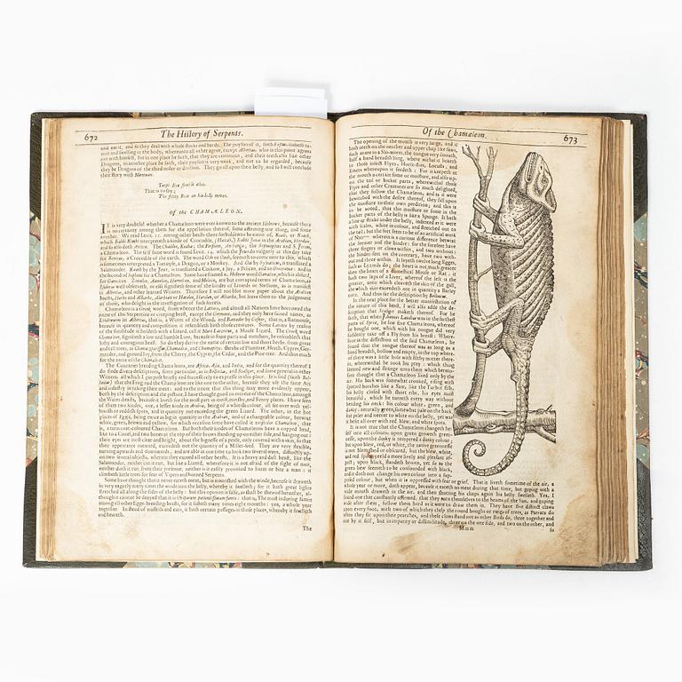 With woodcut illustrations of snakes, crocodiles, dragons, frogs, tortoises etc.