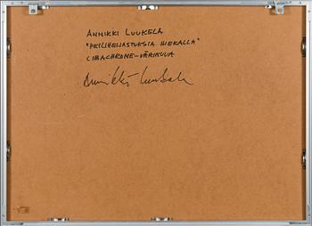 Annikki Luukela, cibachrome-vedos, signeerattu.