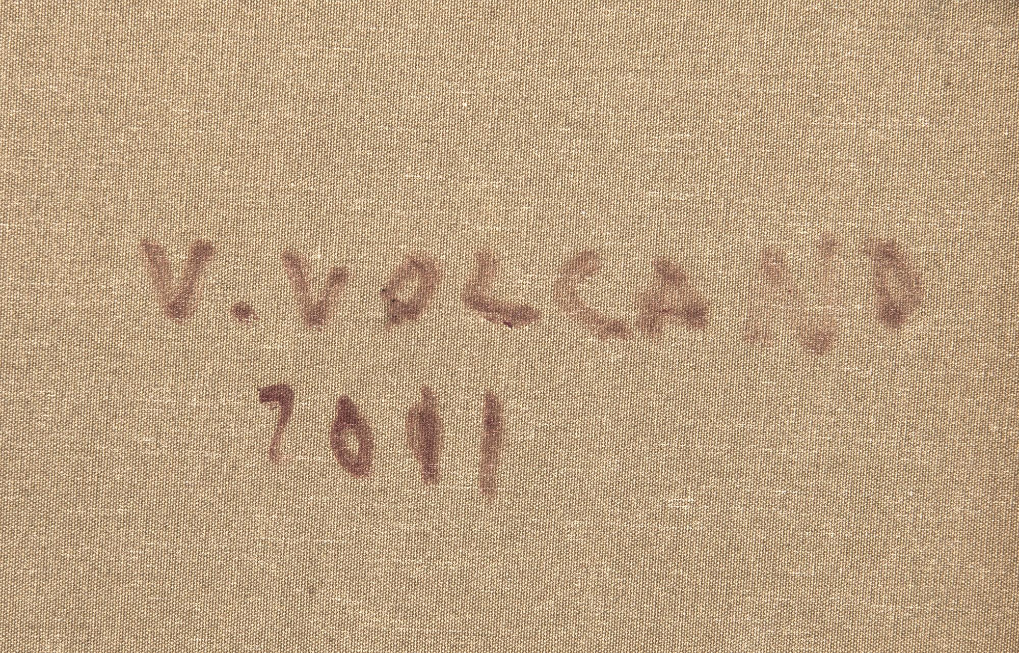 Vlasta Volcano, composition.