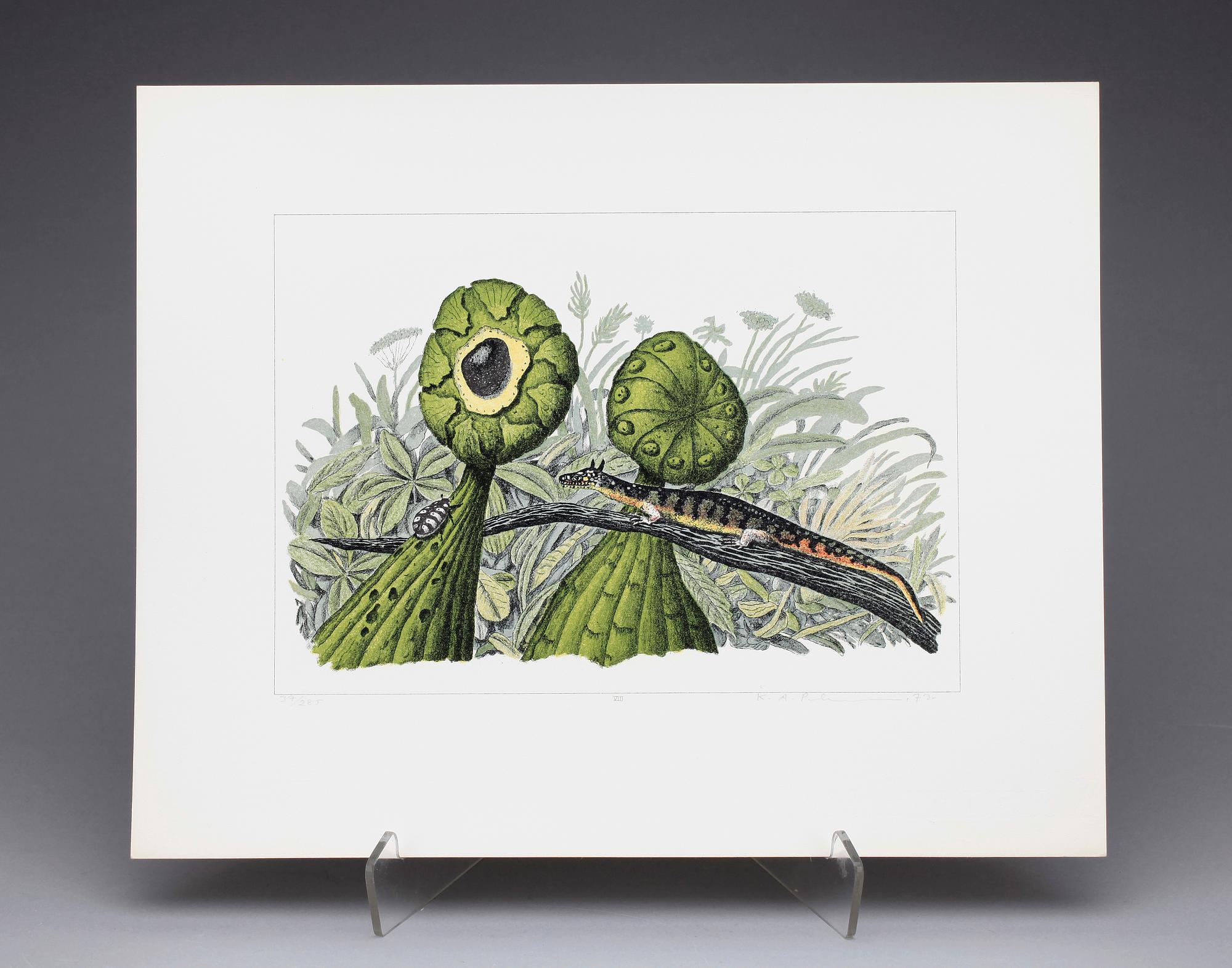 KARL AXEL PEHRSON, mapp med 10 färglitografier, "Vyer från Nirak", sign o numr 37/285. 1973.