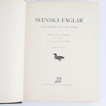 von Wright: Svenska fåglar.