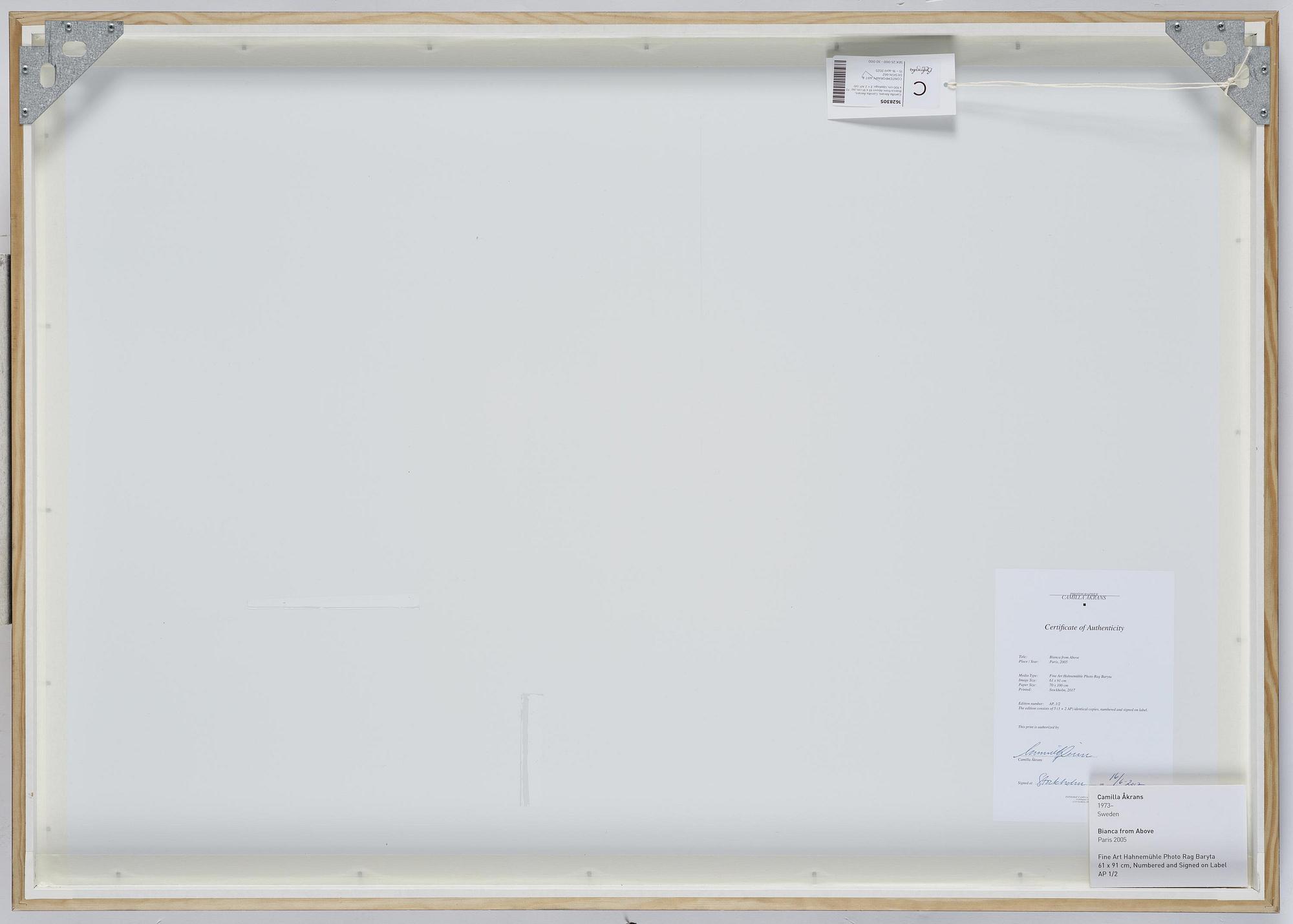 Camilla Åkrans, "Bianca from Above", Paris, 2005.