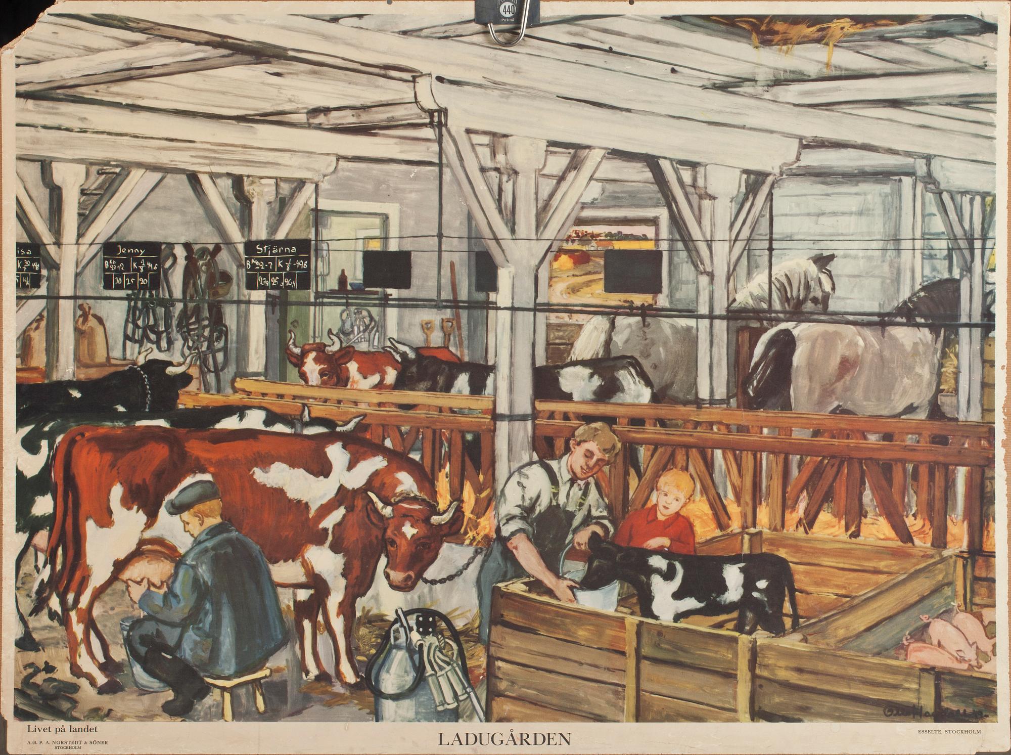 SKOLPLANSCHER, 5 st, 1900-tal.