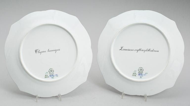 TALLRIKAR, 1 par, porslin, Royal Copenhagen, 1900-talets första hälft.