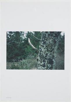 ANDREAS ERIKSSON, portfolio. Signed AE inside the box and numbered 18/250.