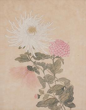 1017. Oidentifierad konstnär, akvarell, två stycken, sen Qingdynasti.