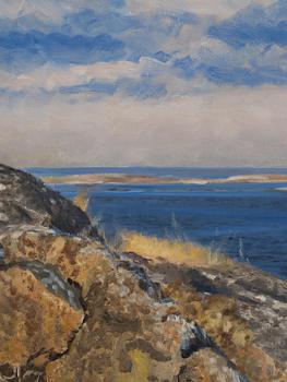 Bruno Liljefors, Brooding eider.