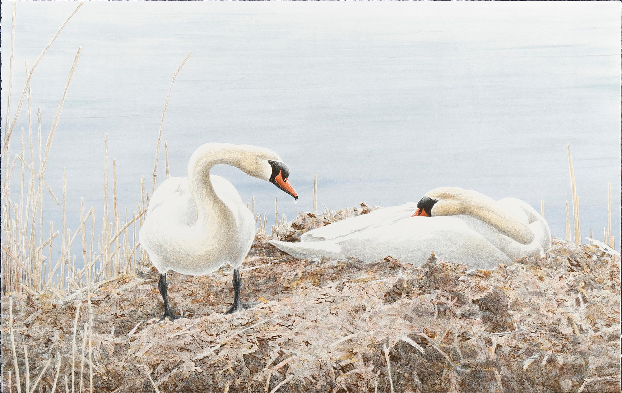 GUNNAR PETTERSSON, 4 st, färglitografier, signerade och numrerade 80/375.