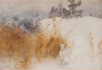 Bruno Liljefors, Winter landscape with hare.