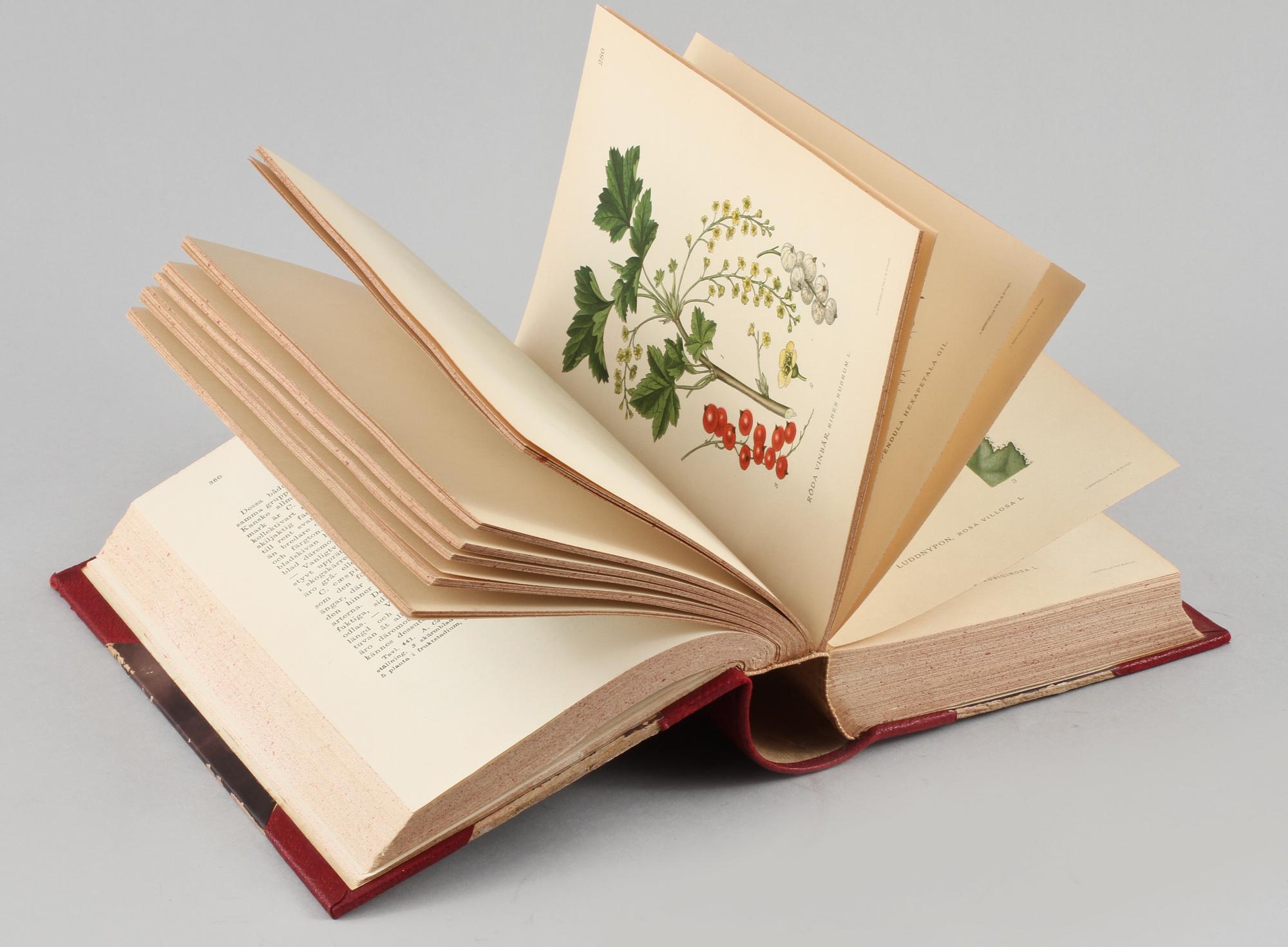 BÖCKER, 3 volymer, "Bilder ur Nordens Flora", C. A. M. Lindman, Wahlström & Widstrand, Stockholm 1922-1926.
