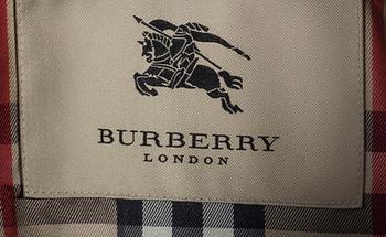 BURBERRY, dunjacka, dam, strl S.