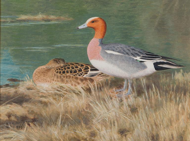Matti Karppanen, Wigeons.