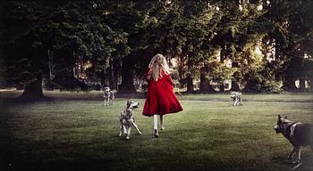 Saga Wendotte, "Into the Woods".