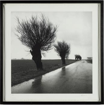 Per Magnus Persson, Landscape.