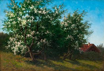 419. Theodor Billing, "KUKKIVA HEDELMÄPUU".
