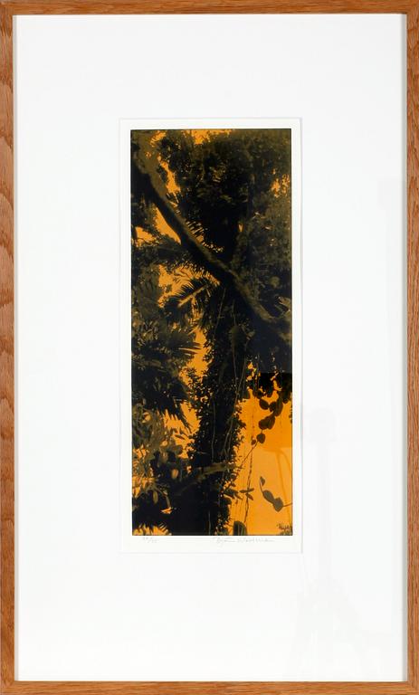 BJÖRN WESSMAN, grafiska tryck, 3 st, sign. Nr 30/35, 26/35, 26/35.