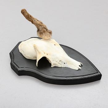 JAKTROFFÉR, 23 st (8+15), 1900-tal.