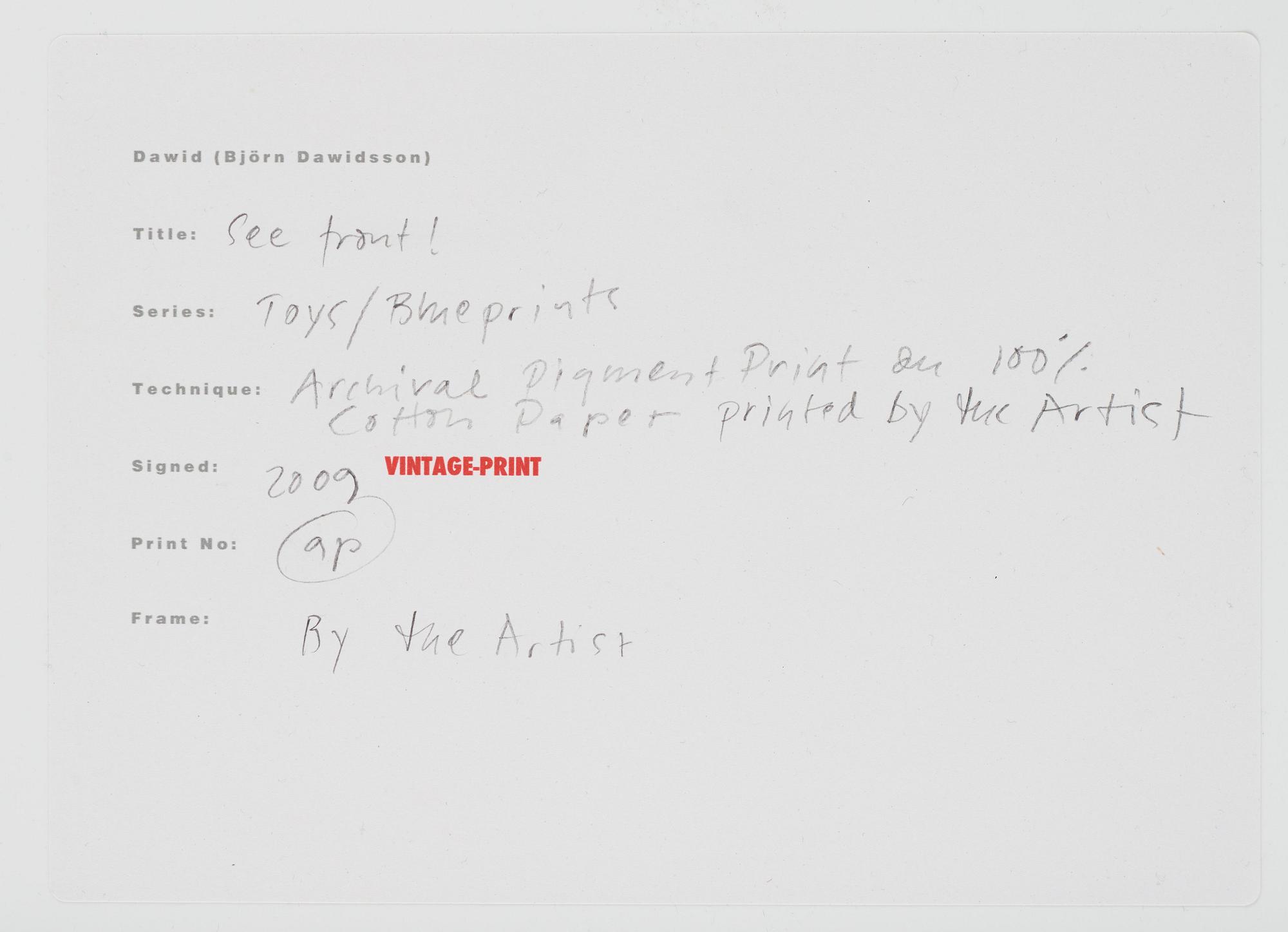 Dawid (Björn Dawidsson), "K1D9698" from the series Blueprints, 2009.