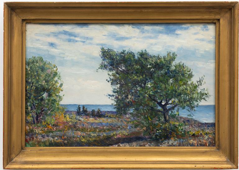 Knut Janson, Kustbild.