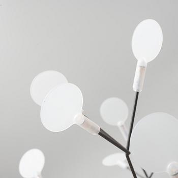 Bertjan Pot, a 'Heracleum II Small' ceiling light, Moooi.