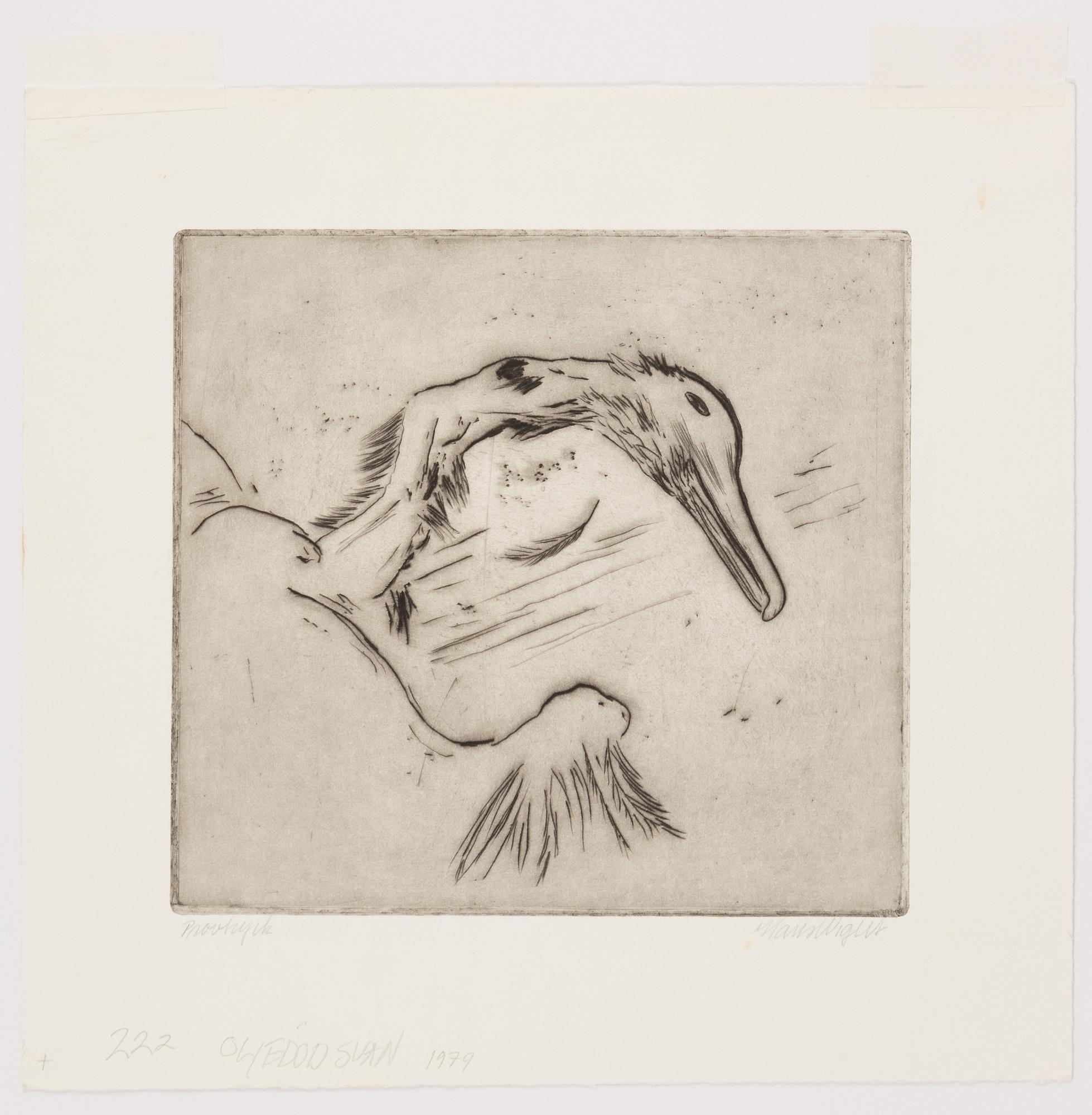 Hans Wigert, "Oljedöd svan".