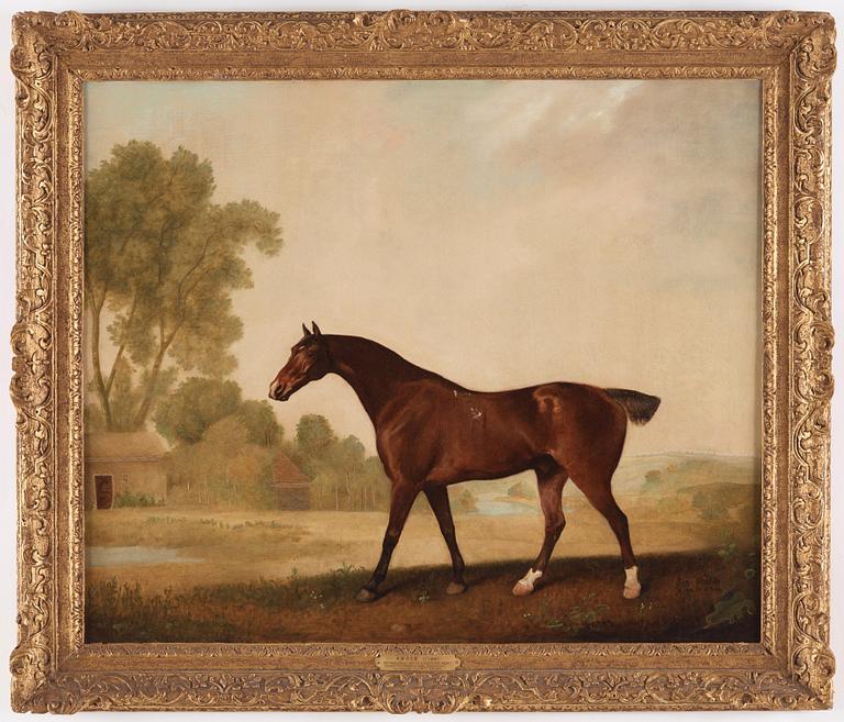 George Stubbs, "Eagle, a bay racehorse".