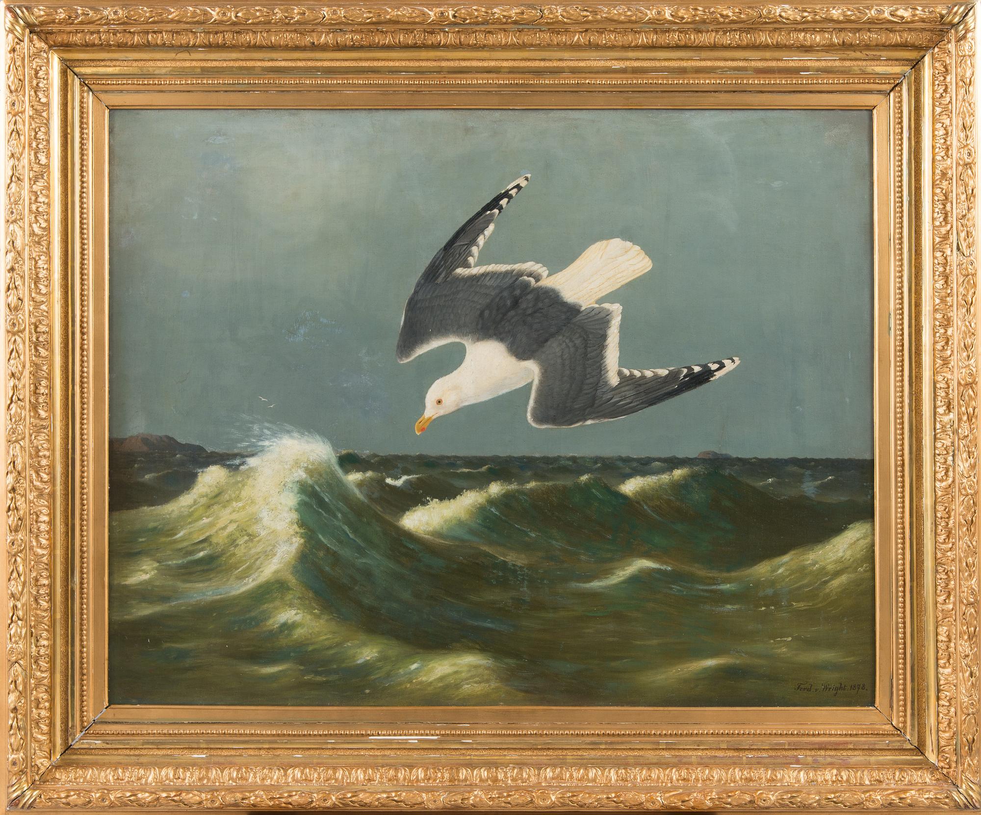 Ferdinand von Wright, Diving Seagull.
