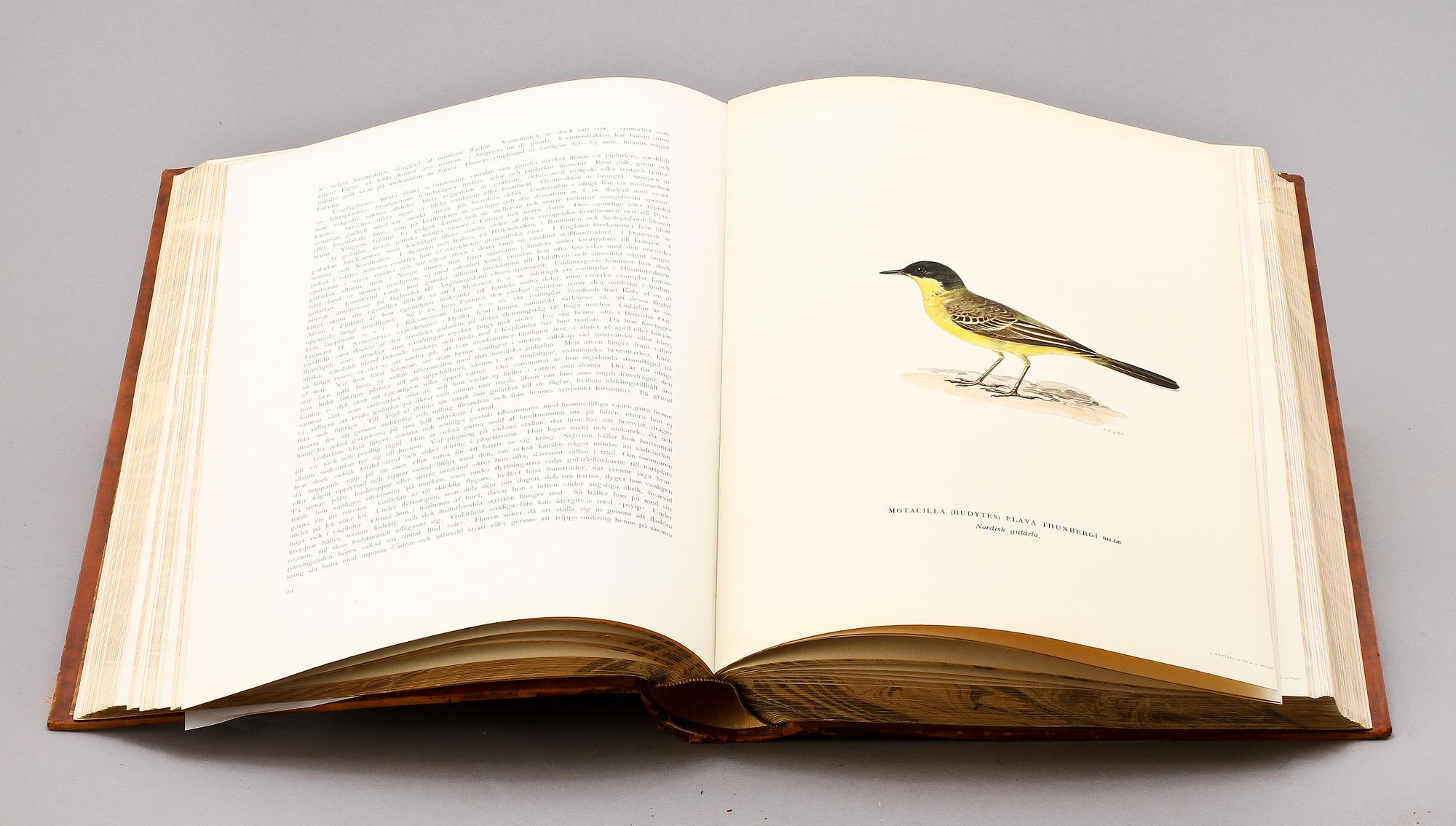 BOK, 3 vol, "Svenska Fåglar", M.W. & F von Wright, Stockholm, 1927-1929.