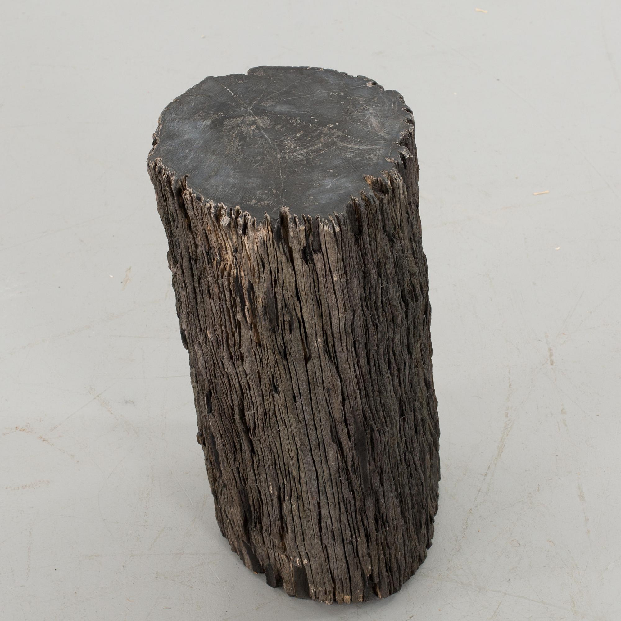 A FOSSILLISED WODDEN TREE.