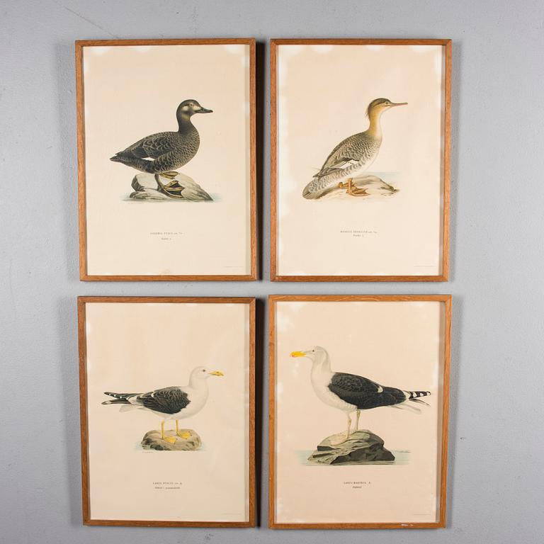 LITOGRAFIER, 4 st, efter von Wright, Magnus, Wilhelm & Ferdinand & Hallberg, Bror. A. Börtzell, Stockholm.