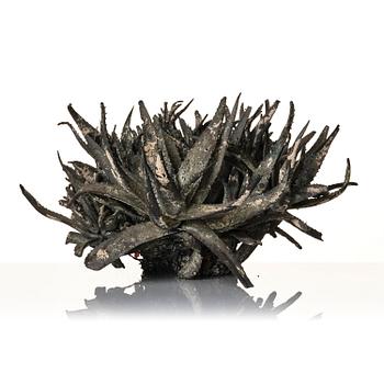 Roland Persson, "Aloe Vera".