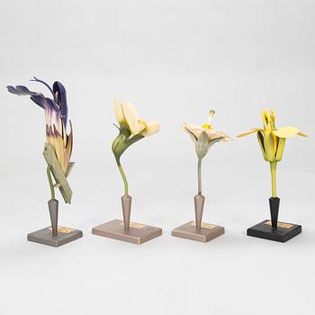 Robert Brendel & Carl Leopold Lohmeyer, A set of 4 educational materials / sculptures, "Botanic Flowers" by R. Bredel. Poland, turn of the 20th century.