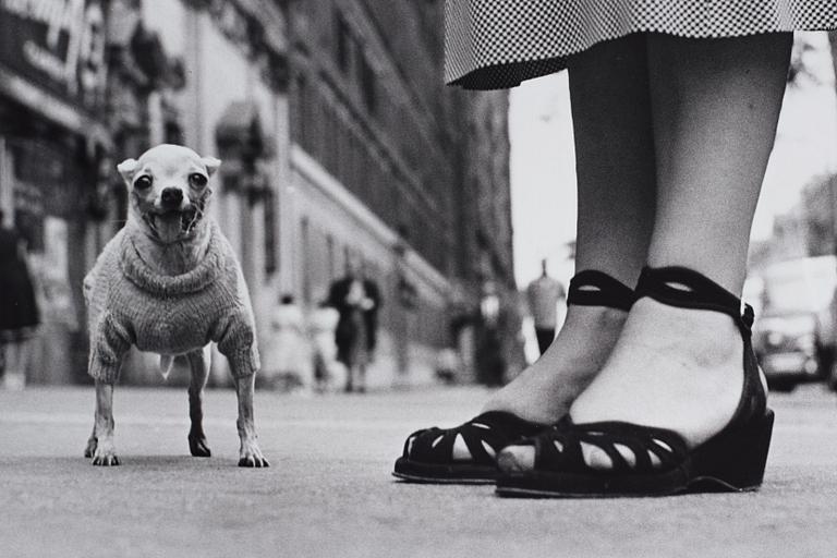 Elliott Erwitt, "New York City", ca 1950.