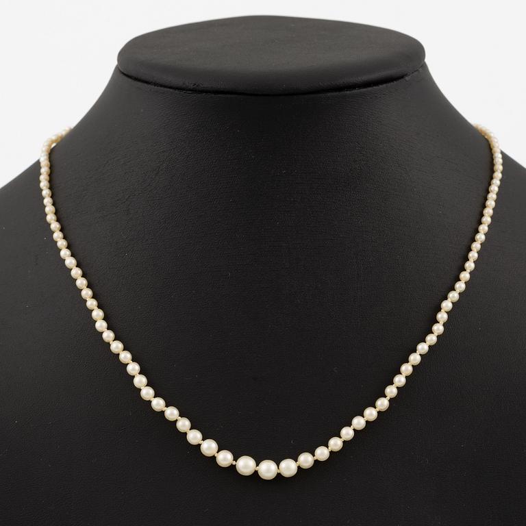 Pearl necklace, graduated pearls, clasp in 18K gold set with old-cut diamonds.