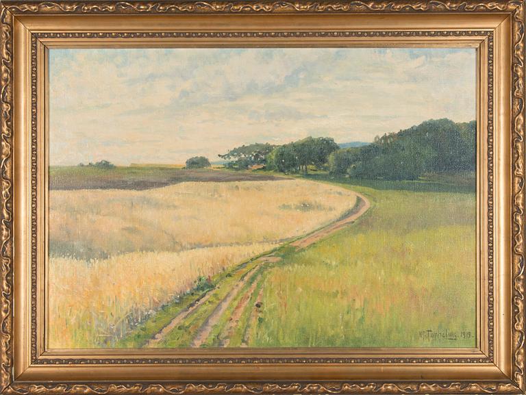 Woldemar Toppelius, Näkymä Arildista.