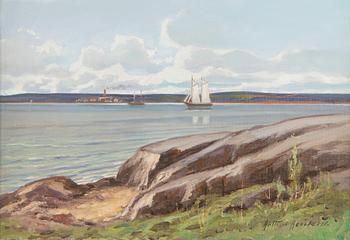 Arthur Heickell, Aihe Luonnonmaalta.