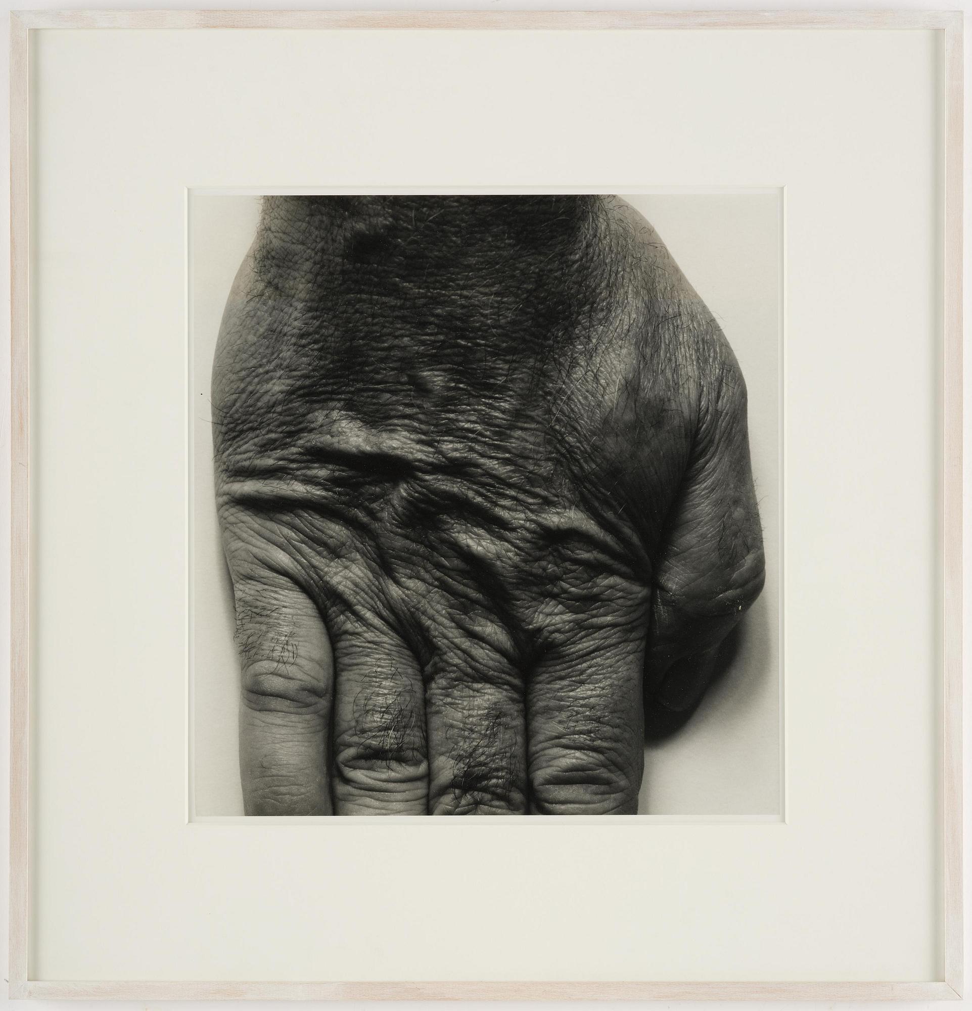 John Coplans, "Self Portrait (Standing Hand)", 1987.