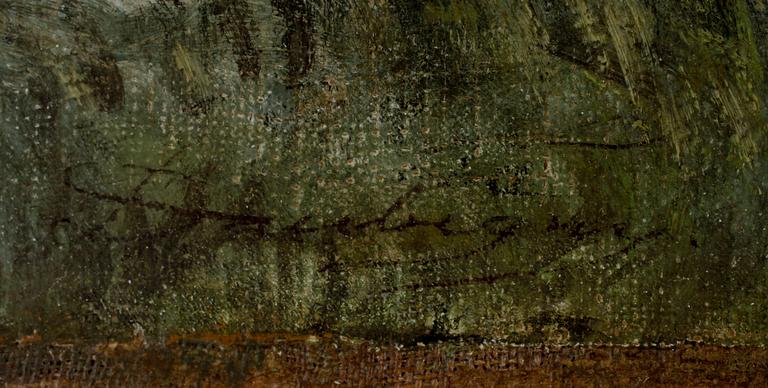 River landscape.