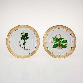 TALLRIKAR, 2 st djupa, porslin, "Flora Danica" Royal Copenhagen 1957 och 1966.