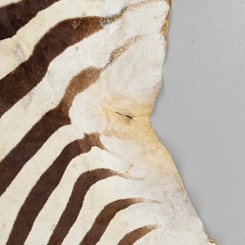 ZEBRASKINN, omkring 1900-talets mitt.