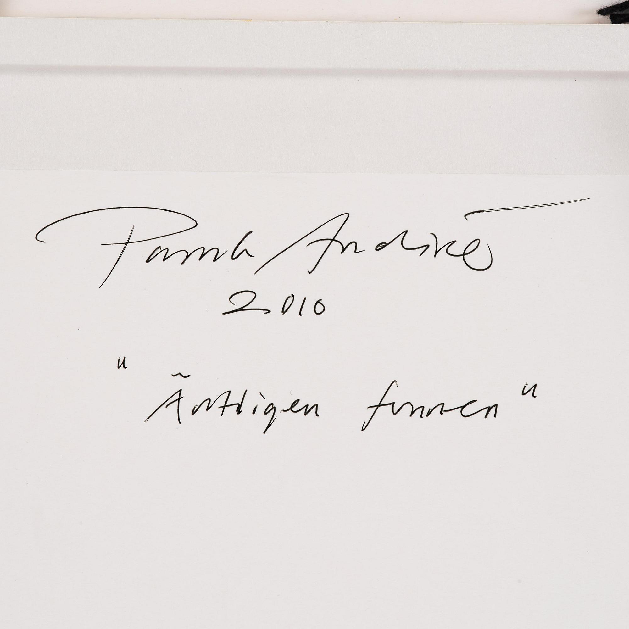 Patrik Andiné, "Äntligen funnen".