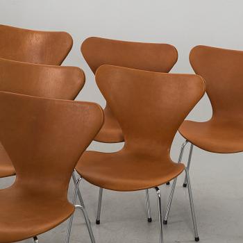 STOLAR 6 st, Arne Jacobsen, "Sjuan", Fritz Hansen, Danmark.