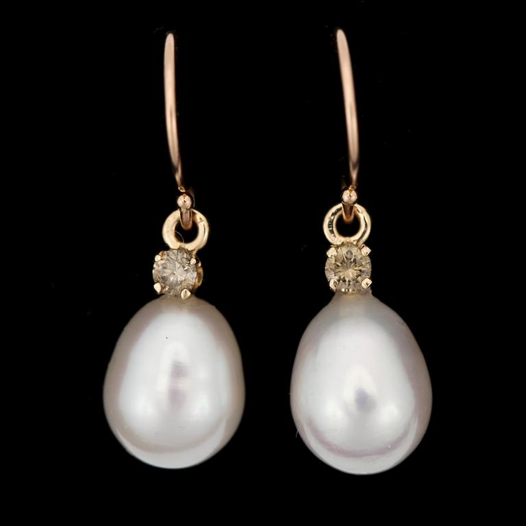 ÖRHÄNGEN, ett par, 14k guld med droppformade odlade saltvattenspärlor o cognacsfärgade diamanter tot ca0,10ct. 2000-tal.