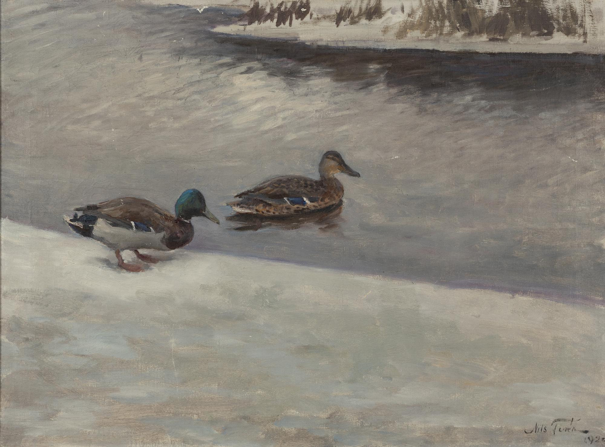 Nils Tirén, Gräsandspar vid vak.