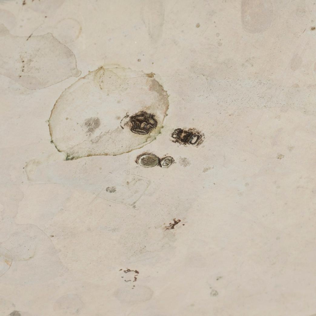 A silver rococo style teapot.