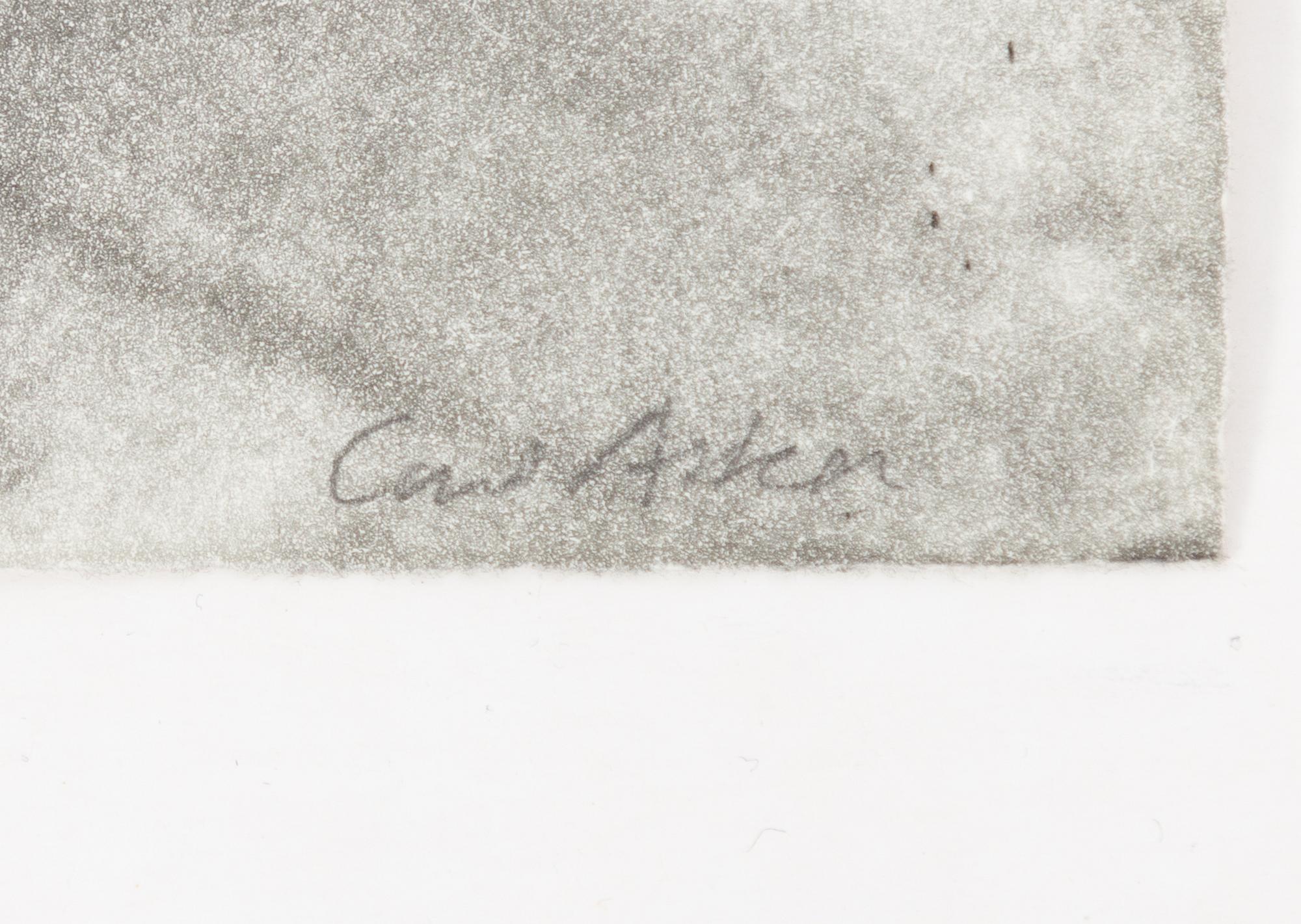 Curt Asker/Wallace Stevens "Elva dikter".