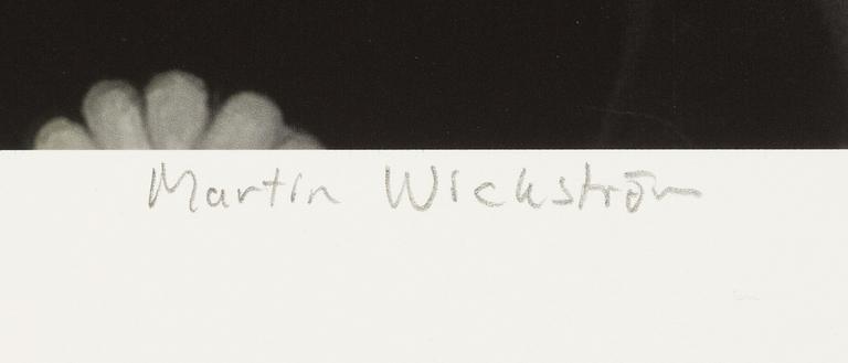 Martin Wickström, "Bourani".